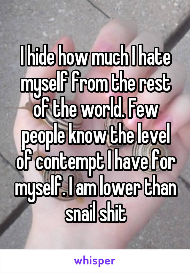 I hide how much I hate myself from the rest of the world. Few people know the level of contempt I have for myself. I am lower than snail shit