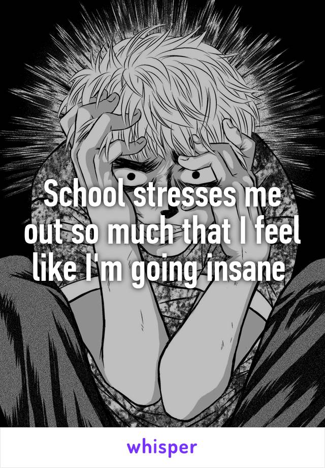 School stresses me out so much that I feel like I'm going insane 