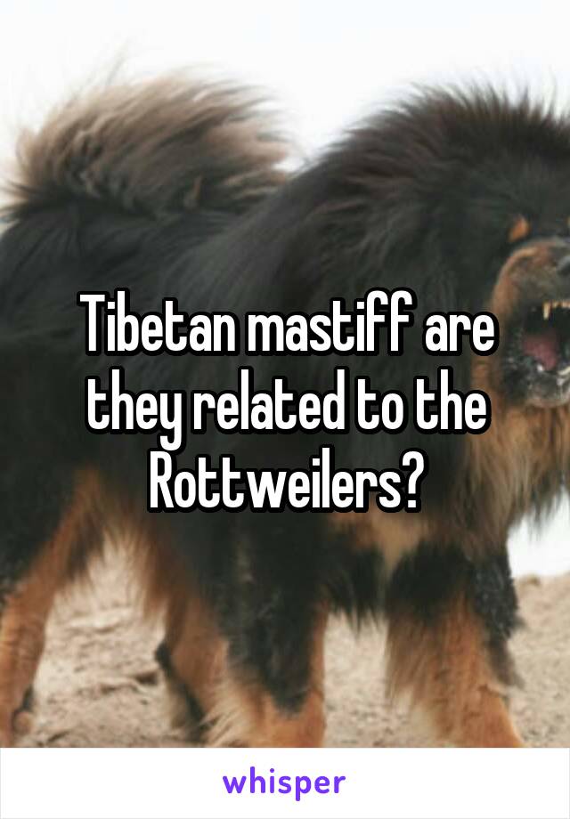 Tibetan mastiff are they related to the Rottweilers?