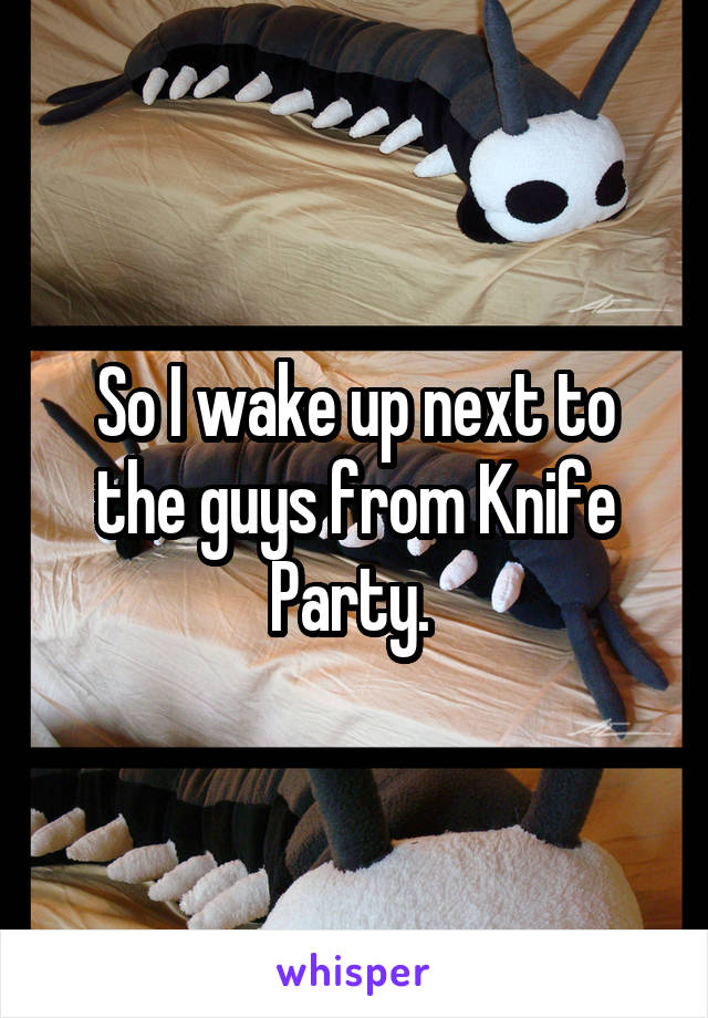 So I wake up next to the guys from Knife Party. 