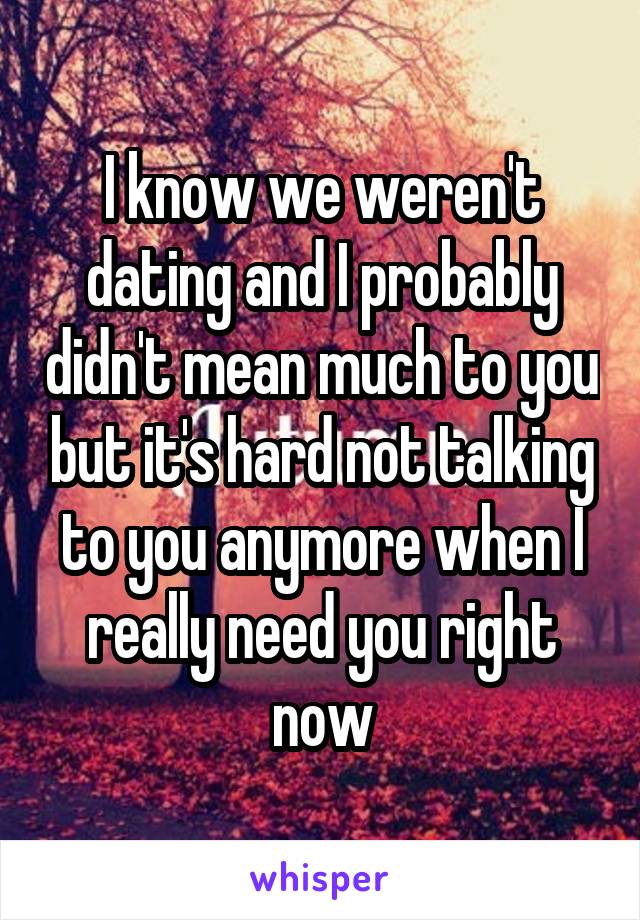 I know we weren't dating and I probably didn't mean much to you but it's hard not talking to you anymore when I really need you right now