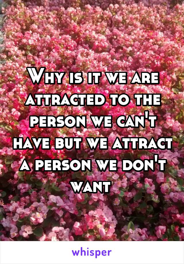 Why is it we are attracted to the person we can't have but we attract a person we don't want 