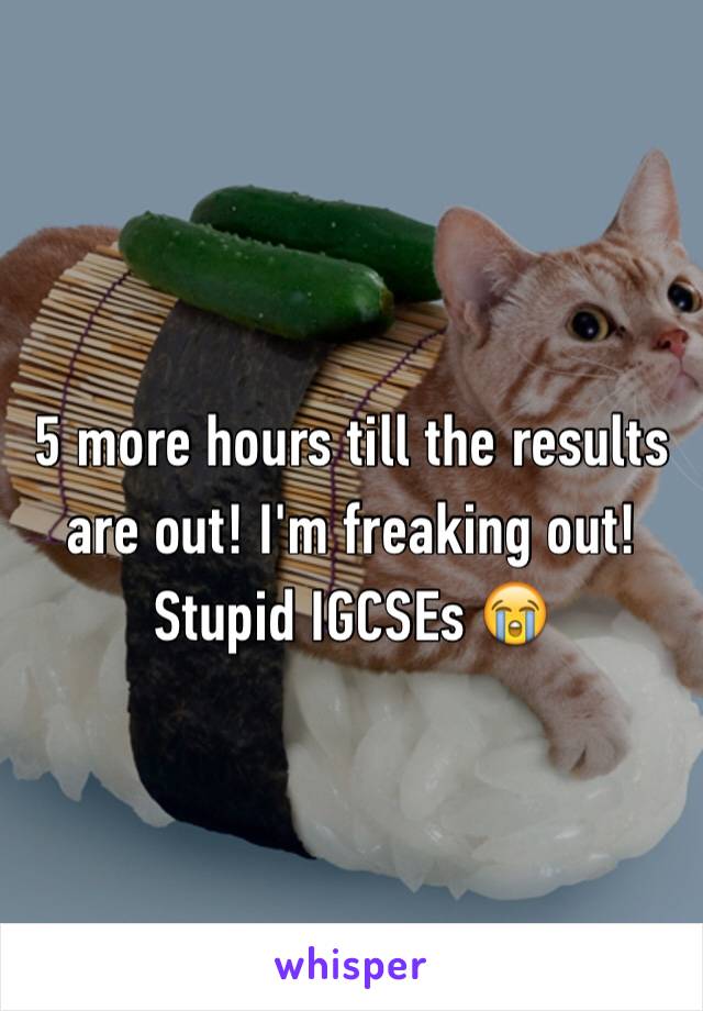 5 more hours till the results are out! I'm freaking out! Stupid IGCSEs 😭