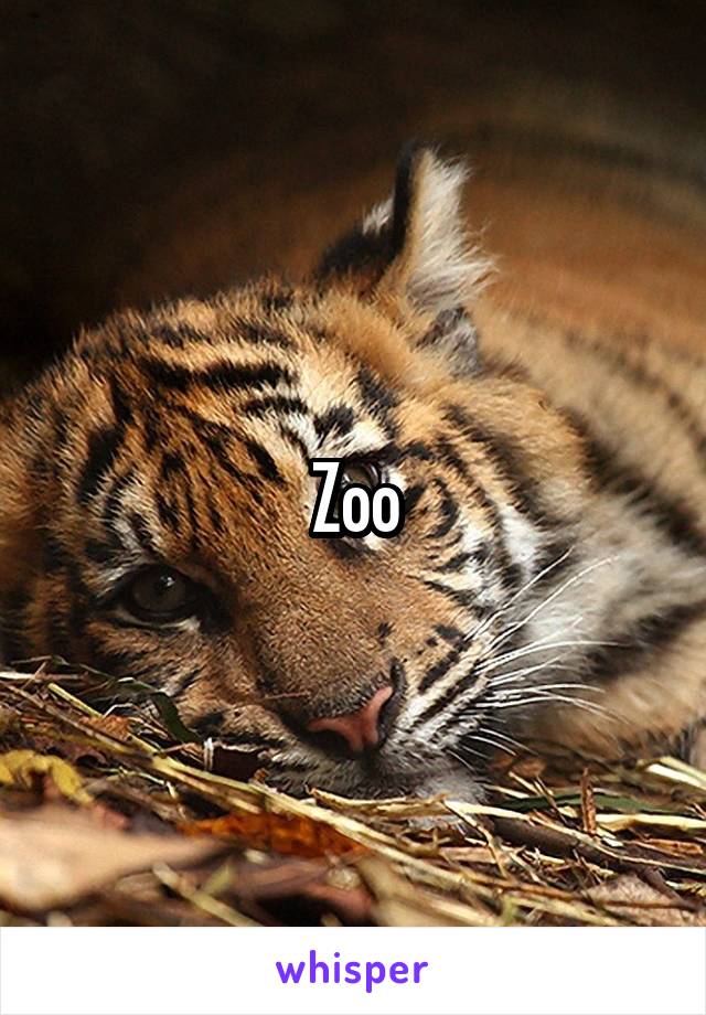 Zoo