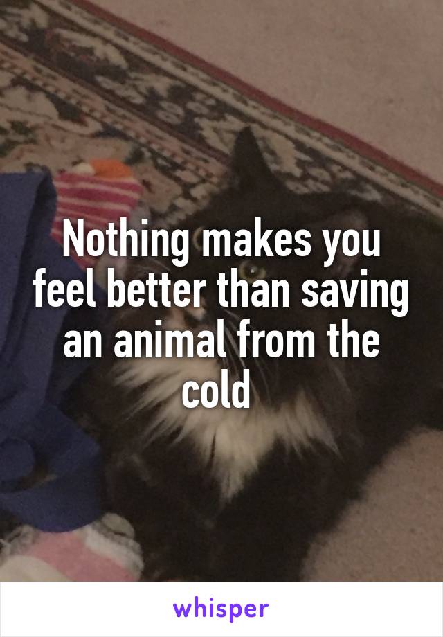 Nothing makes you feel better than saving an animal from the cold 