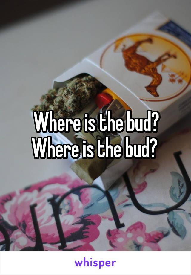 Where is the bud? Where is the bud? 