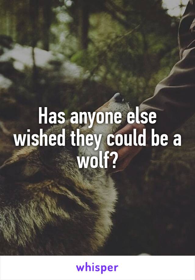 Has anyone else wished they could be a wolf?