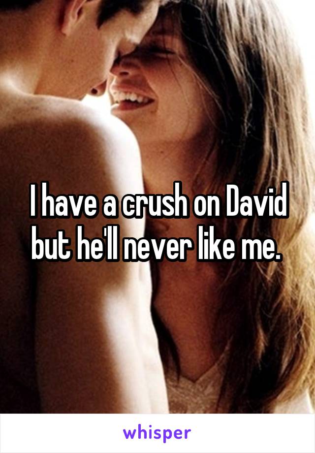 I have a crush on David but he'll never like me. 