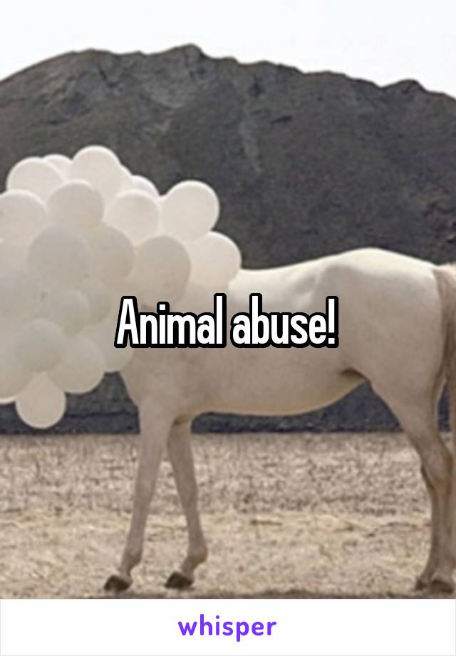 Animal abuse! 