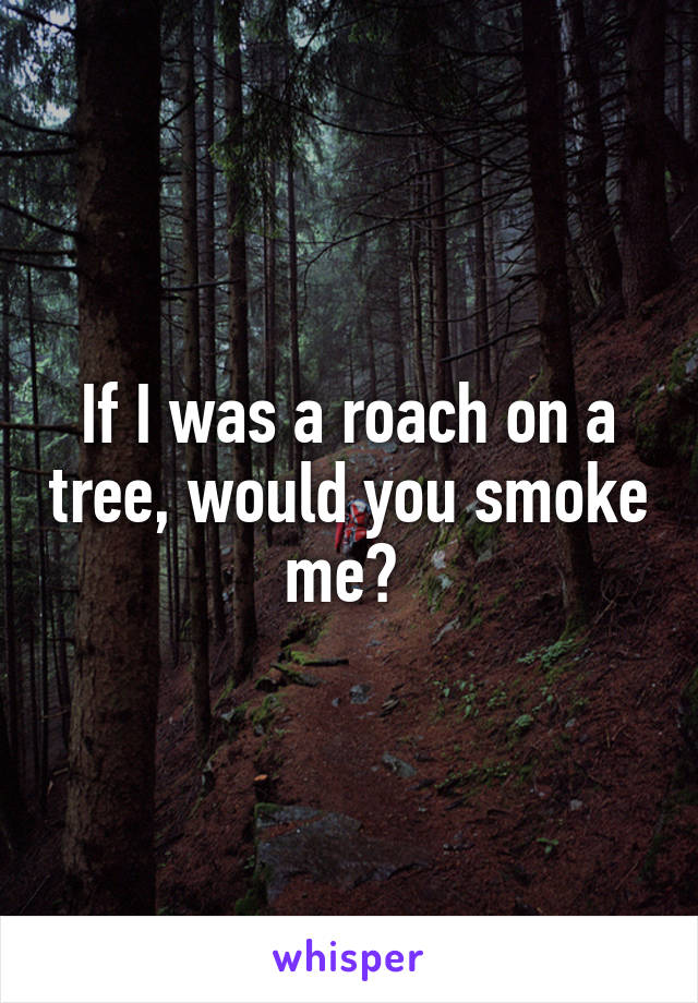 If I was a roach on a tree, would you smoke me? 