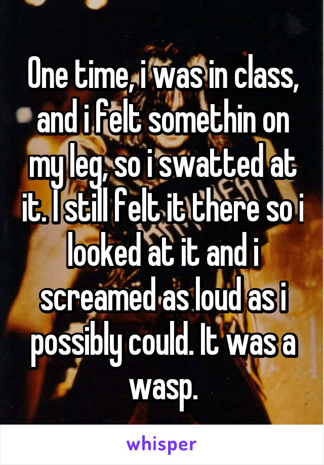 One time, i was in class, and i felt somethin on my leg, so i swatted at it. I still felt it there so i looked at it and i screamed as loud as i possibly could. It was a wasp.