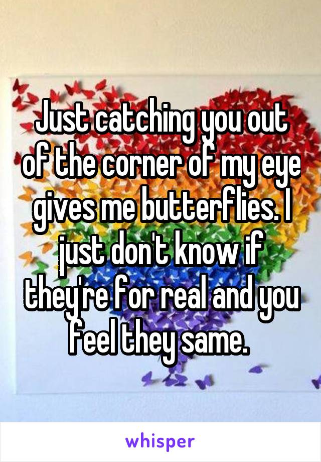 Just catching you out of the corner of my eye gives me butterflies. I just don't know if they're for real and you feel they same. 