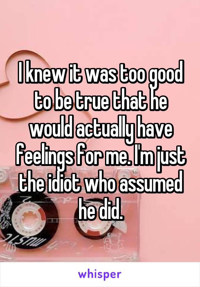 I knew it was too good to be true that he would actually have feelings for me. I'm just the idiot who assumed he did.