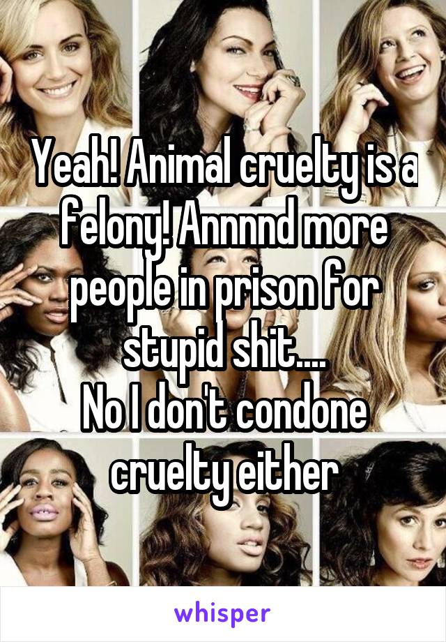 Yeah! Animal cruelty is a felony! Annnnd more people in prison for stupid shit....
No I don't condone cruelty either