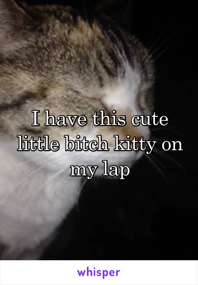 I have this cute little bitch kitty on my lap