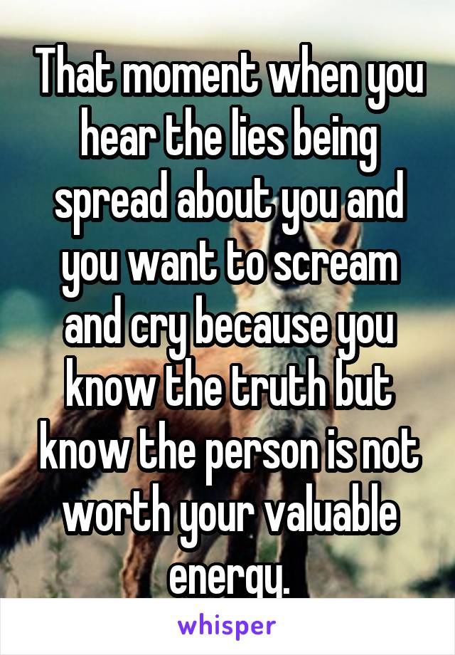 That moment when you hear the lies being spread about you and you want to scream and cry because you know the truth but know the person is not worth your valuable energy.