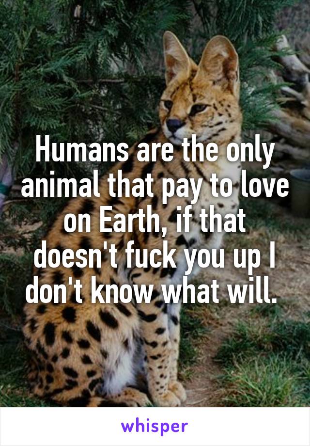 Humans are the only animal that pay to love on Earth, if that doesn't fuck you up I don't know what will. 