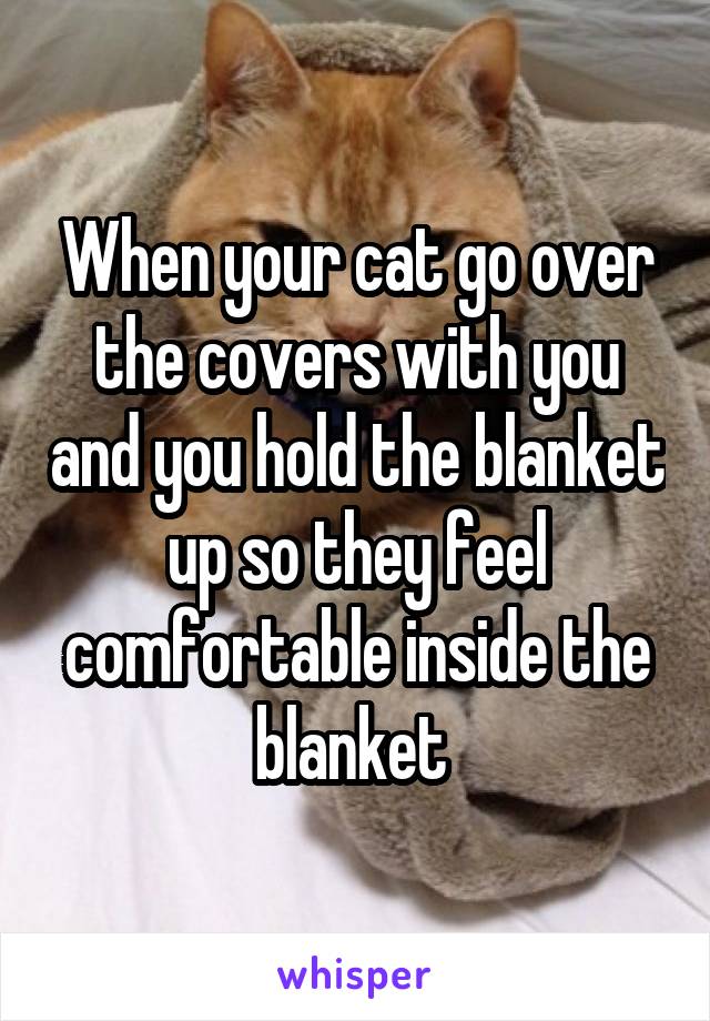 When your cat go over the covers with you and you hold the blanket up so they feel comfortable inside the blanket 