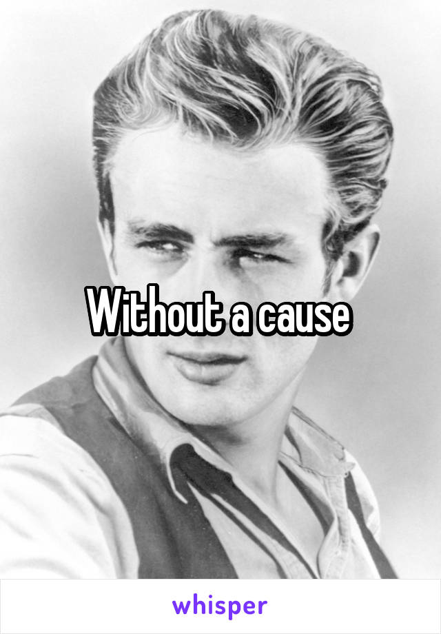 Without a cause 