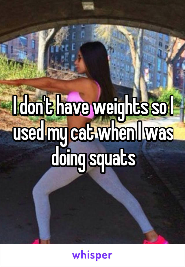 I don't have weights so I used my cat when I was doing squats