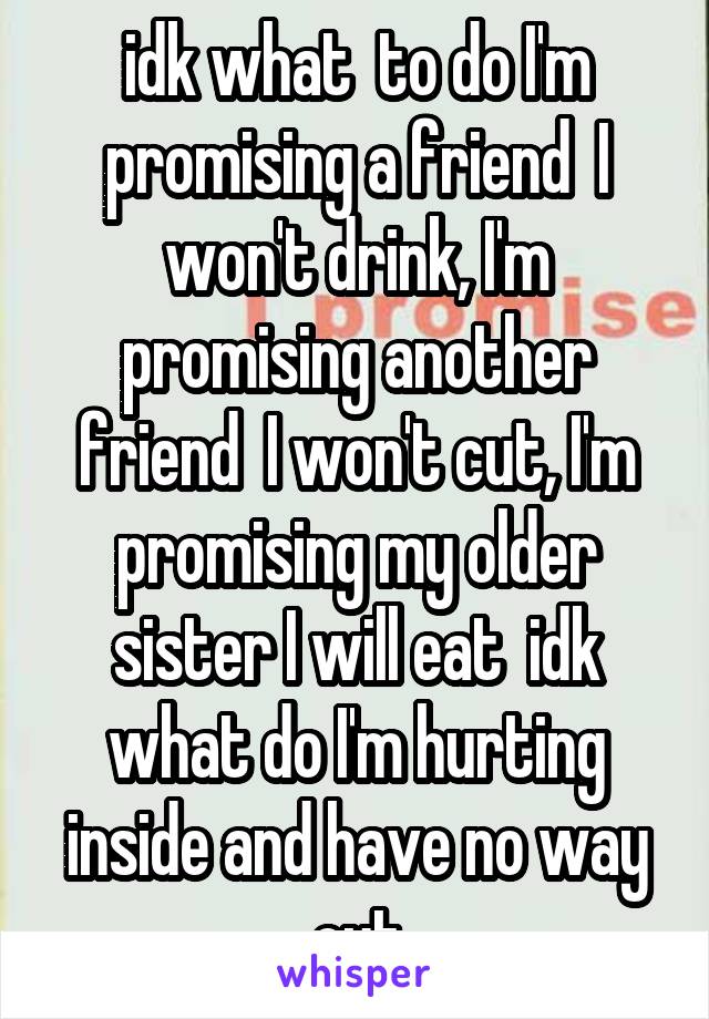 idk what  to do I'm promising a friend  I won't drink, I'm promising another friend  I won't cut, I'm promising my older sister I will eat  idk what do I'm hurting inside and have no way out