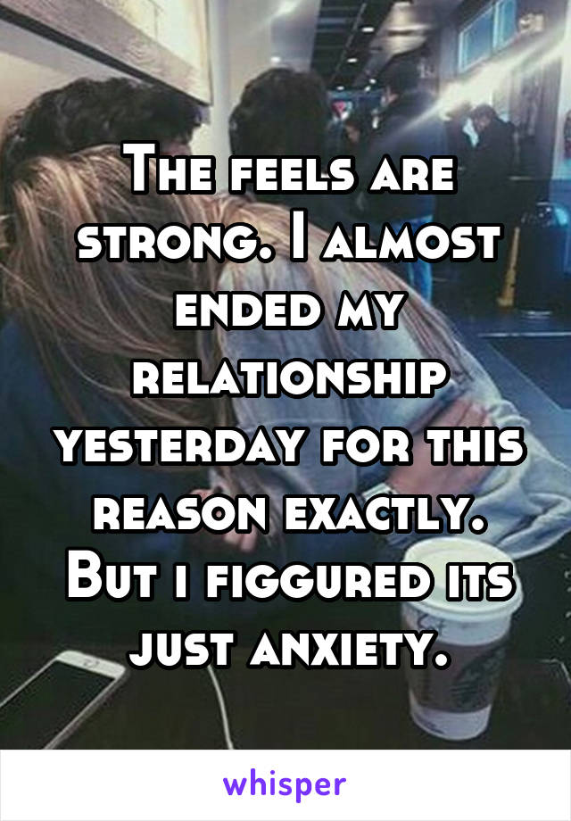 The feels are strong. I almost ended my relationship yesterday for this reason exactly. But i figgured its just anxiety.