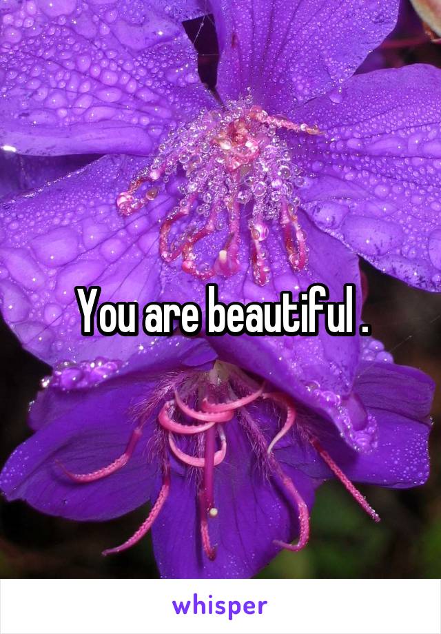 You are beautiful .