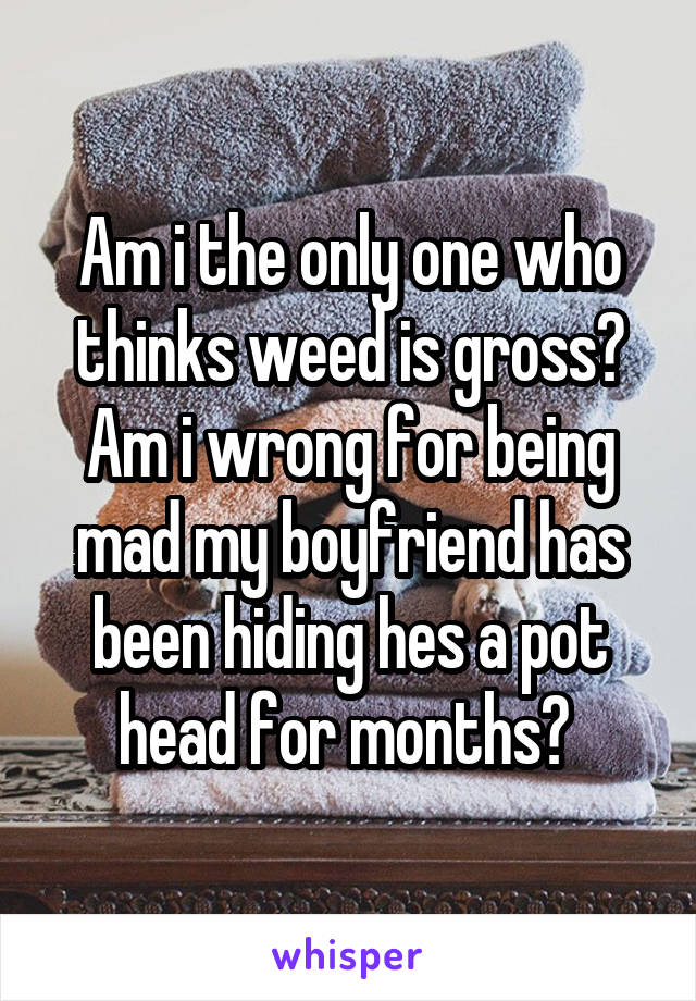 Am i the only one who thinks weed is gross? Am i wrong for being mad my boyfriend has been hiding hes a pot head for months? 