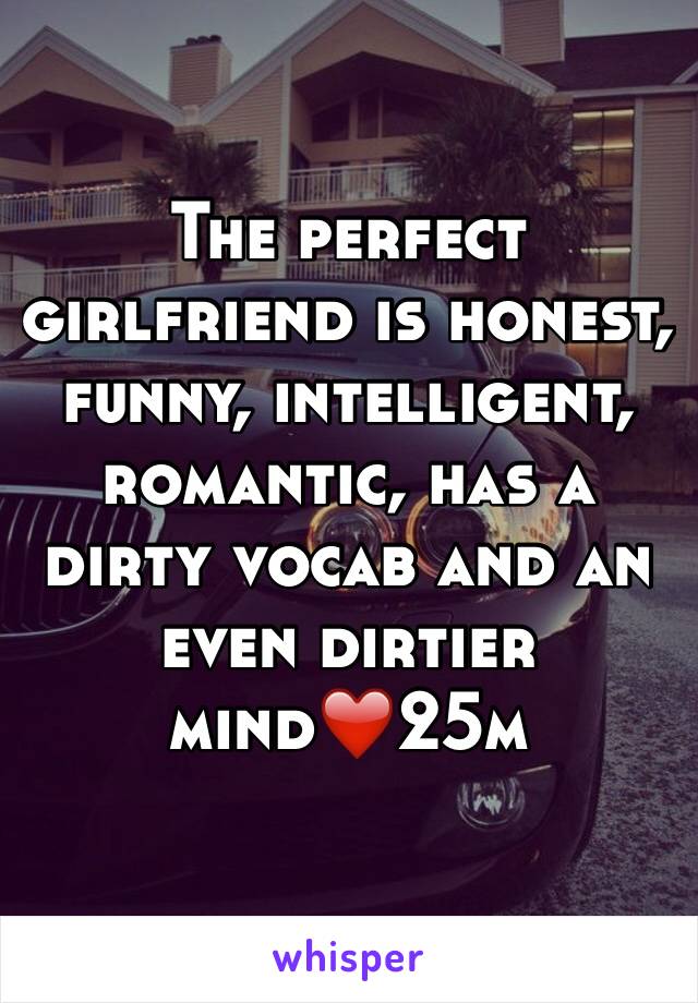 The perfect girlfriend is honest, funny, intelligent, romantic, has a dirty vocab and an even dirtier mind❤️25m