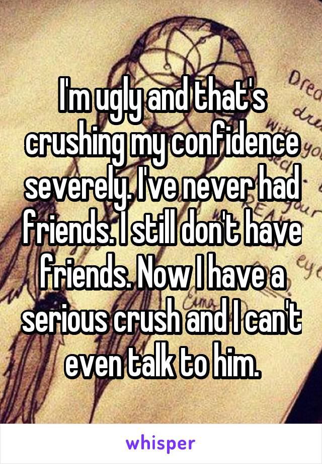 I'm ugly and that's crushing my confidence severely. I've never had friends. I still don't have friends. Now I have a serious crush and I can't even talk to him.