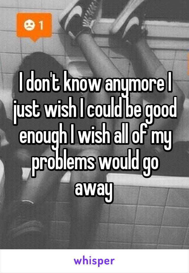 I don't know anymore I just wish I could be good enough I wish all of my problems would go away 