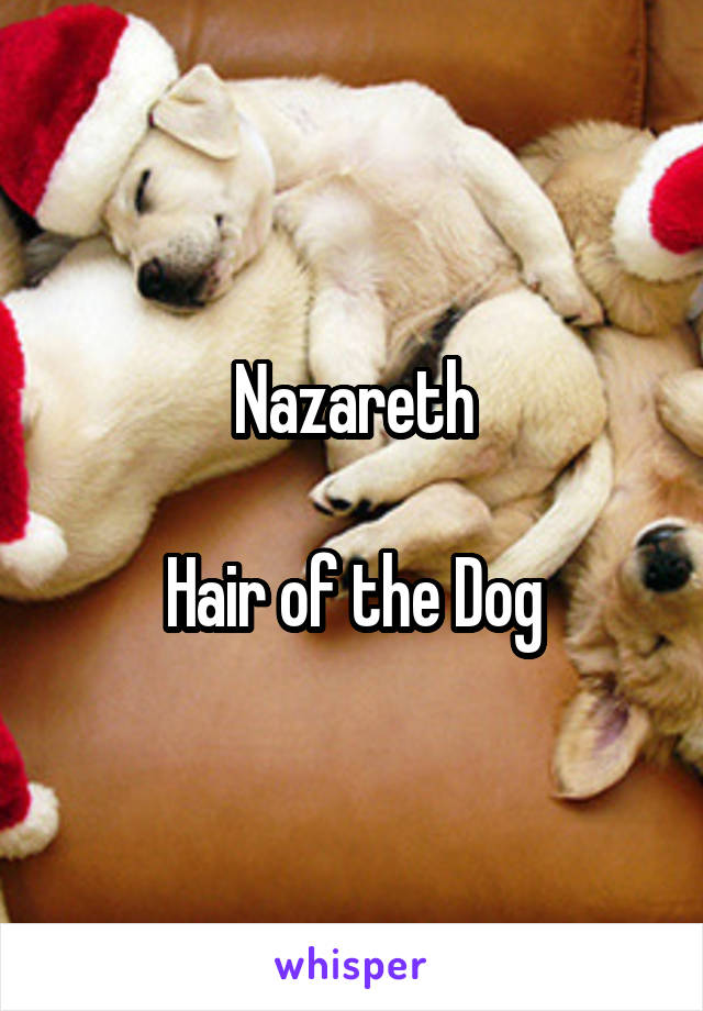 Nazareth

Hair of the Dog