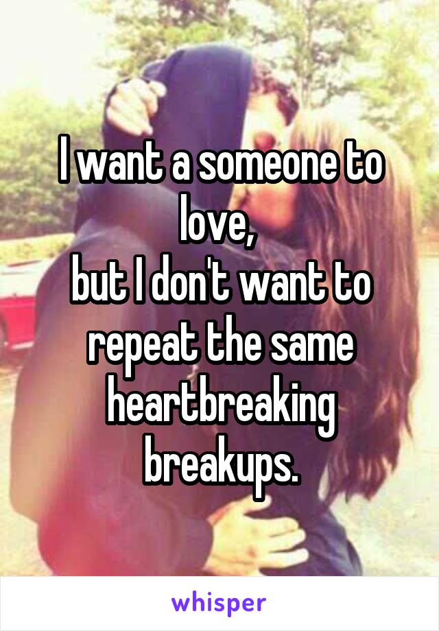 I want a someone to love, 
but I don't want to repeat the same heartbreaking breakups.