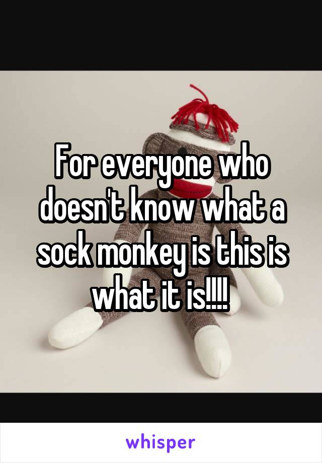 For everyone who doesn't know what a sock monkey is this is what it is!!!! 