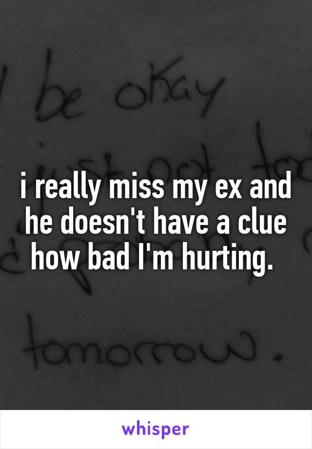 i really miss my ex and he doesn't have a clue how bad I'm hurting. 