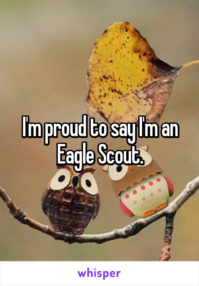 I'm proud to say I'm an Eagle Scout.