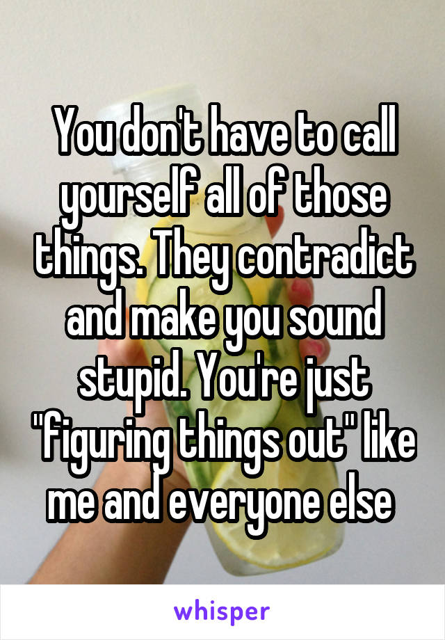 You don't have to call yourself all of those things. They contradict and make you sound stupid. You're just "figuring things out" like me and everyone else 