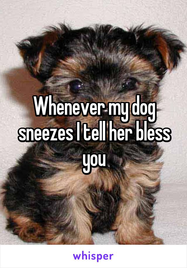 Whenever my dog sneezes I tell her bless you