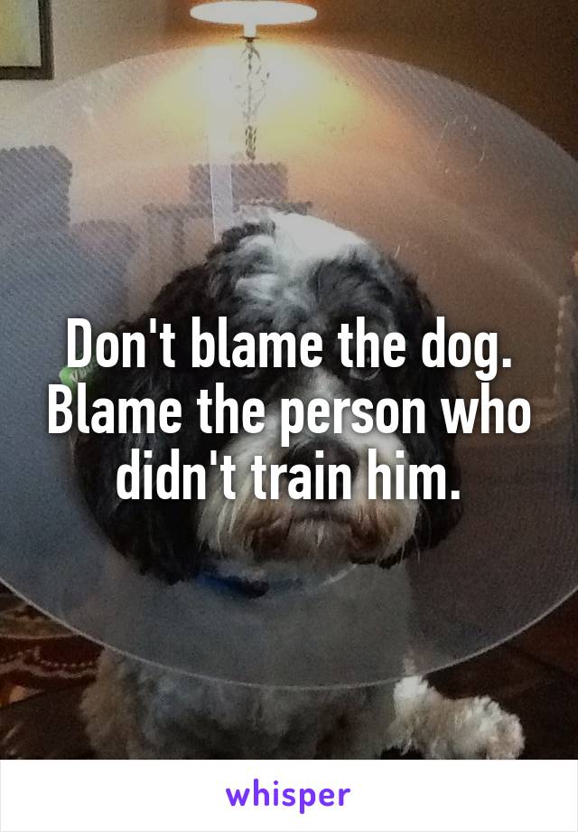 Don't blame the dog. Blame the person who didn't train him.