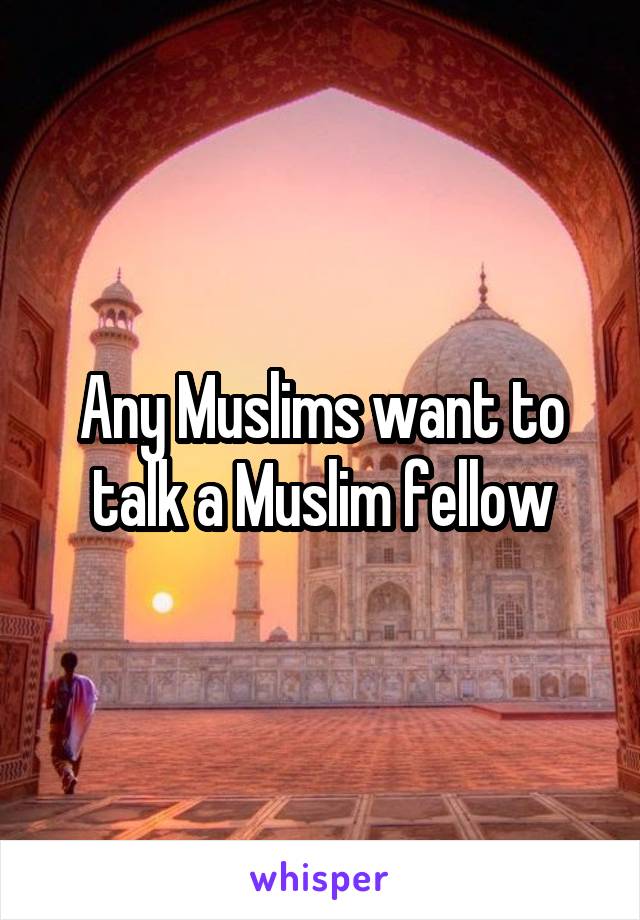 Any Muslims want to talk a Muslim fellow