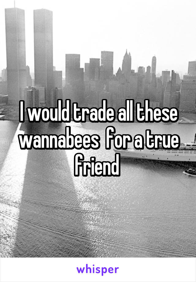 I would trade all these wannabees  for a true friend 