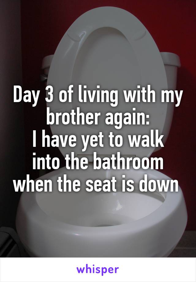 Day 3 of living with my brother again:
I have yet to walk into the bathroom when the seat is down 