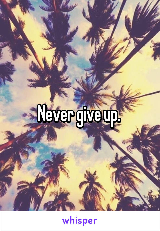 Never give up. 