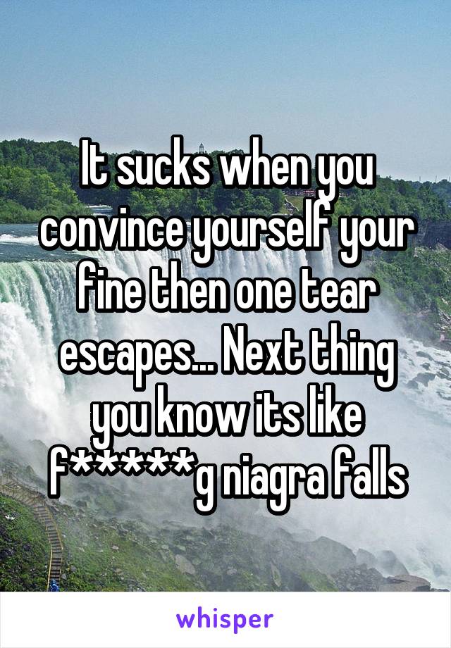 It sucks when you convince yourself your fine then one tear escapes... Next thing you know its like f*****g niagra falls