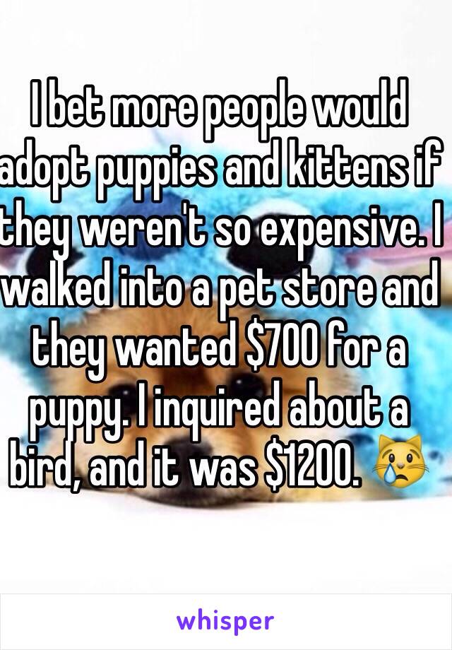 I bet more people would adopt puppies and kittens if they weren't so expensive. I walked into a pet store and they wanted $700 for a puppy. I inquired about a bird, and it was $1200. 😿 