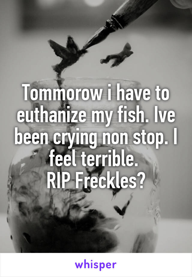 Tommorow i have to euthanize my fish. Ive been crying non stop. I feel terrible. 
RIP Freckles♡