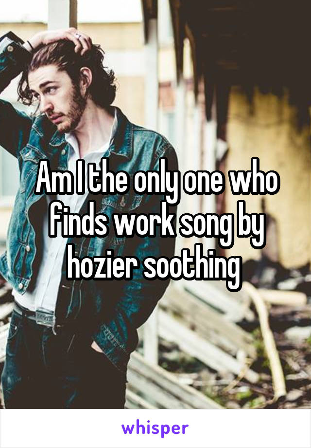 Am I the only one who finds work song by hozier soothing 