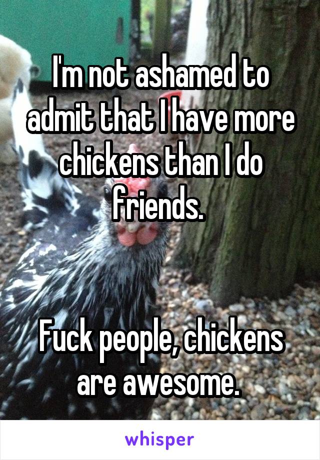 I'm not ashamed to admit that I have more chickens than I do friends. 


Fuck people, chickens are awesome. 