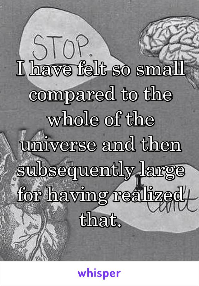 I have felt so small compared to the whole of the universe and then subsequently large for having realized that.