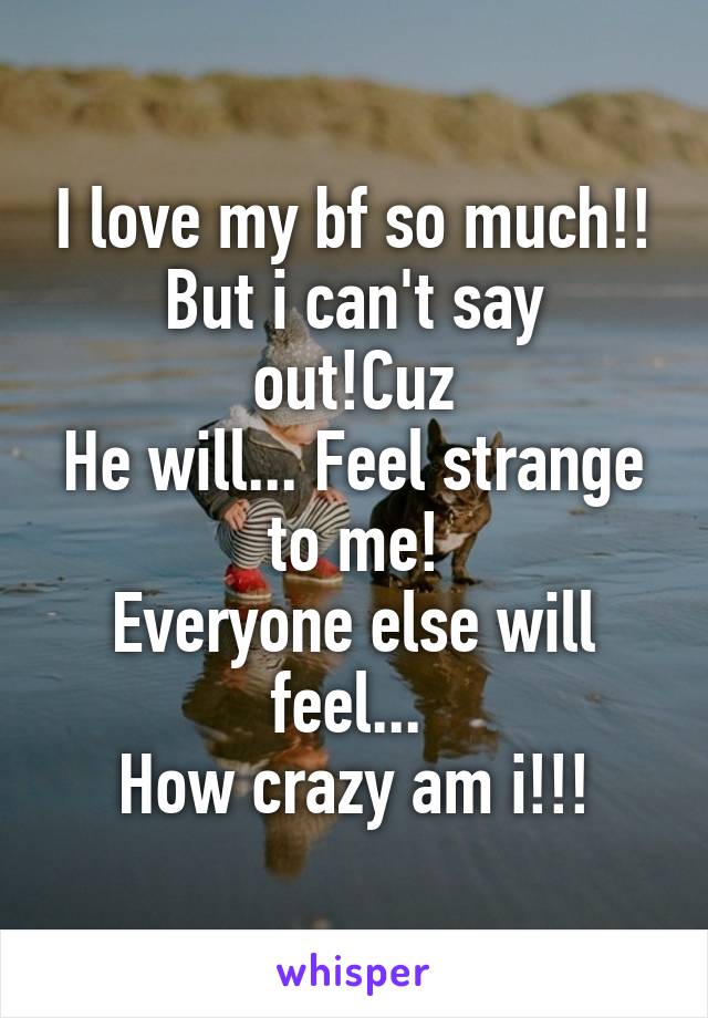 I love my bf so much!!
But i can't say out!Cuz
He will... Feel strange to me!
Everyone else will feel... 
How crazy am i!!!